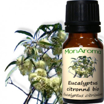 Huile essentielle d'Eucalyptus Citronné bio - 10ml